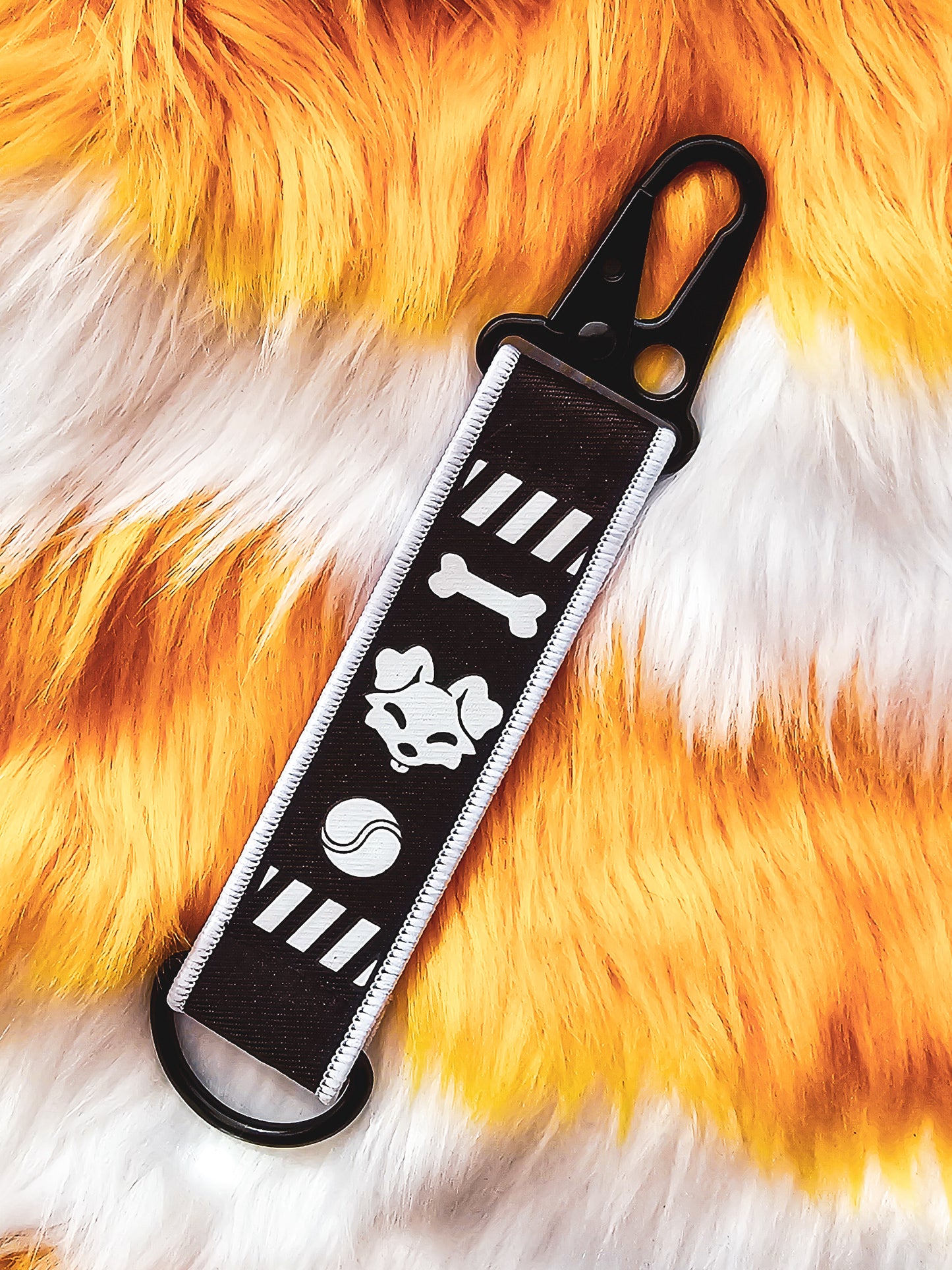 Jet Tag Puppy